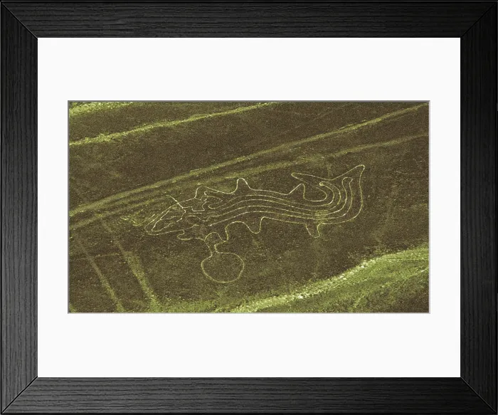 Framed Print : Whale. 6th-7th c. PERU. ICA. Geoglyph. Nazca art. AISA / Everett Collection**US SALES ONLY** Framed Print : Whale. 6th-7th c. PERU. ICA. Geoglyph. Nazca art. AISA / Everett Collection**US SALES ONLY**