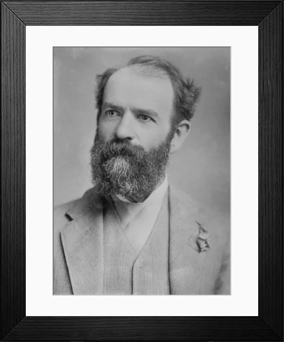 Framed Print : Jay Gould (1835-1892), American financier, and the most ruthless of the robber barons. He used stock purchases to take control of existing companies