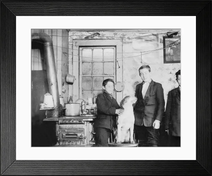 Framed Print : Home of the Palia family, 260 Terrace Street Framed Print : Home of the Palia family, 260 Terrace Street