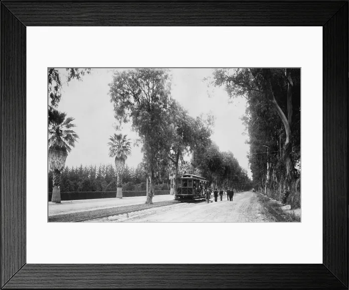 Framed Print : California, California Citrus Heritage Recording Project, view of Magnolia Avenue with electric street car, Riverside County, circa 1920s-1930s Framed Print : California, California Citrus Heritage Recording Project, view of Magnolia Avenue with electric street car, Riverside County, circa 1920s-1930s