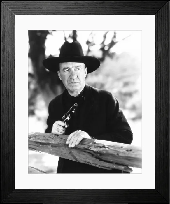 Framed Print : HERITAGE OF THE DESERT, J. Farrell MacDonald, 1932