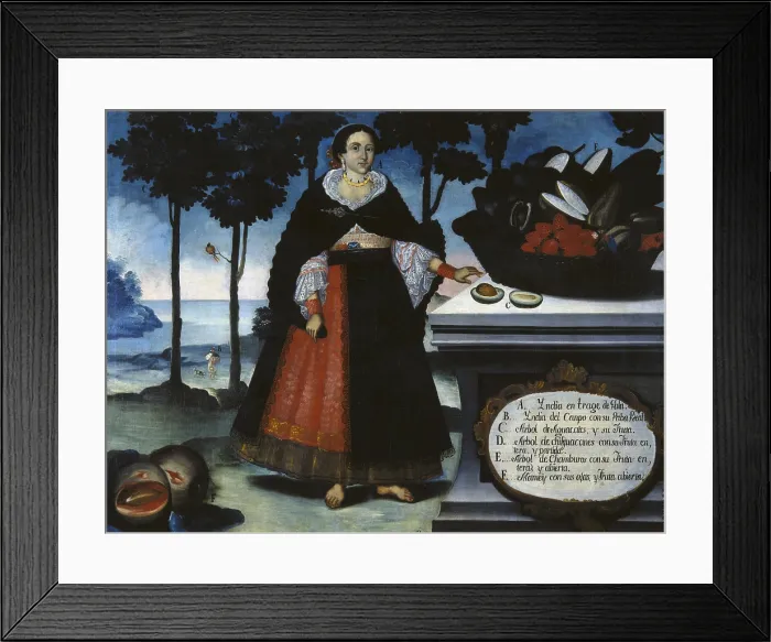 Framed Print : ALBAN, Vicente (18th c.). Indian Woman in Fine Costume. 1783. Casta paintings. Quito School. Colonial baroque. Oil on canvas. SPAIN. Madrid. America's Museum