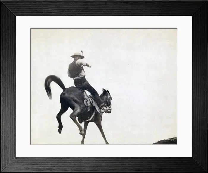 Framed Print : Bucking Bronco. Ned Coy, a famous Dakota cowboy, on a bucking horse. Photograph by John C. Grabill ca. 1888