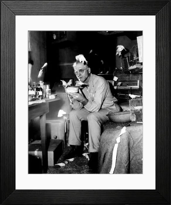 Framed Print : BIRDMAN OF ALCATRAZ, Burt Lancaster, 1962