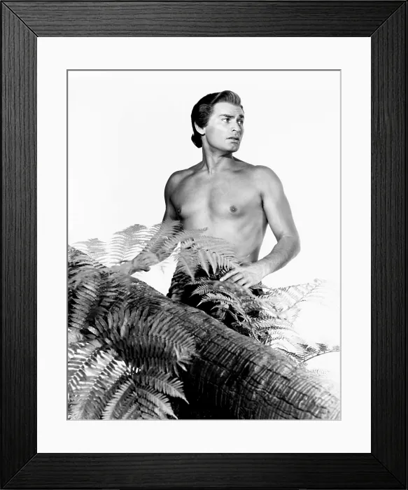 Framed Print : BIRD OF PARADISE, Jeff Chandler, 1951, TM and copyright 20th Century-Fox Film Corp. All Rights Reserved / Courtesy: Everett Collection