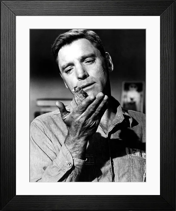 Framed Print : BIRDMAN OF ALCATRAZ, Burt Lancaster, 1962