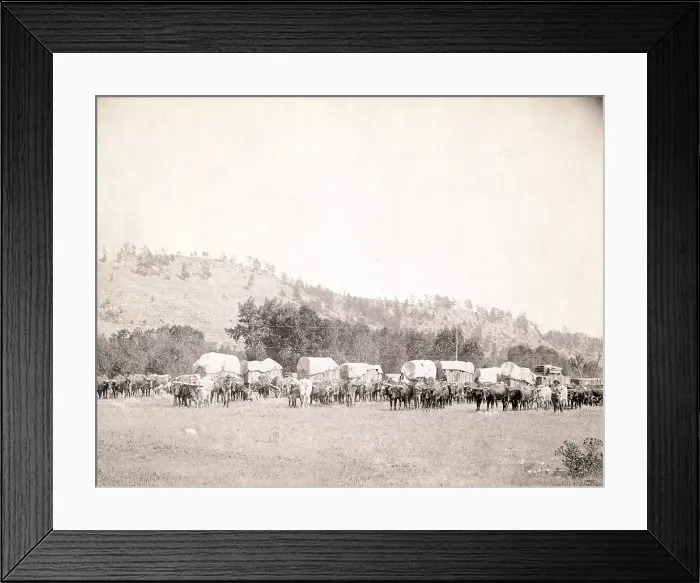 Framed Print : Freighting in the Black Hills. Several ox teams and wagons in a valley, Dakota Territory. photo by John C. Grabill, 1887