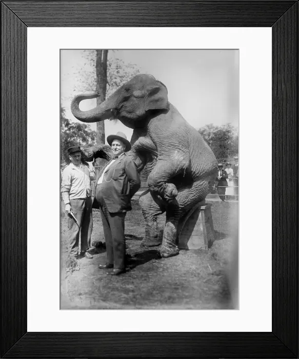 Framed Print : Stewart (right), and elephant, circa early 1900s Framed Print : Stewart (right), and elephant, circa early 1900s