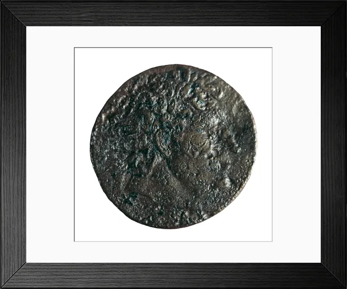 Framed Print : Coin with portrait of Pyrrhus. Coin. SPAIN. Barcelona. Numismatic Cabinet of Catalonia. AISA / Everett Collection**US SALES ONLY**