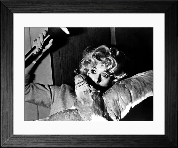 Framed Print : THE BIRDS, Tippi Hedren, 1963 Framed Print : THE BIRDS, Tippi Hedren, 1963