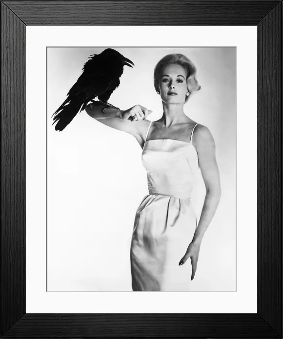 Framed Print : THE BIRDS, Tippi Hedren, 1963 Framed Print : THE BIRDS, Tippi Hedren, 1963