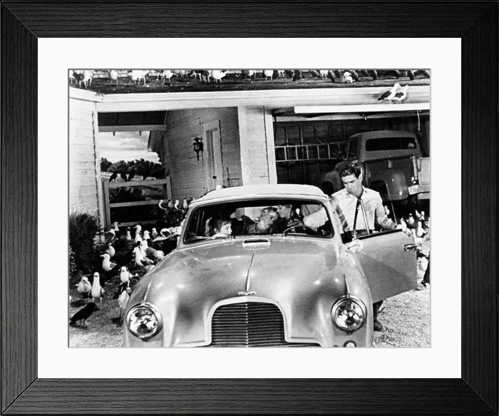 Framed Print : THE BIRDS, from left, Veronica Cartwright, Tippi Hedren, Jessica Tandy, Rod Taylor, 1963 Framed Print : THE BIRDS, from left, Veronica Cartwright, Tippi Hedren, Jessica Tandy, Rod Taylor, 1963