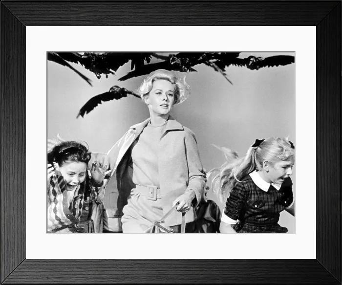 Framed Print : THE BIRDS, Tippi Hedren, 1963