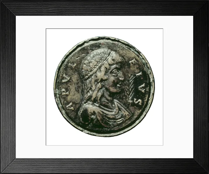 Framed Print : Roman coin with the portrait of Apuleius. Coin. SPAIN. Madrid. National Library. AISA / Everett Collection**US SALES ONLY**