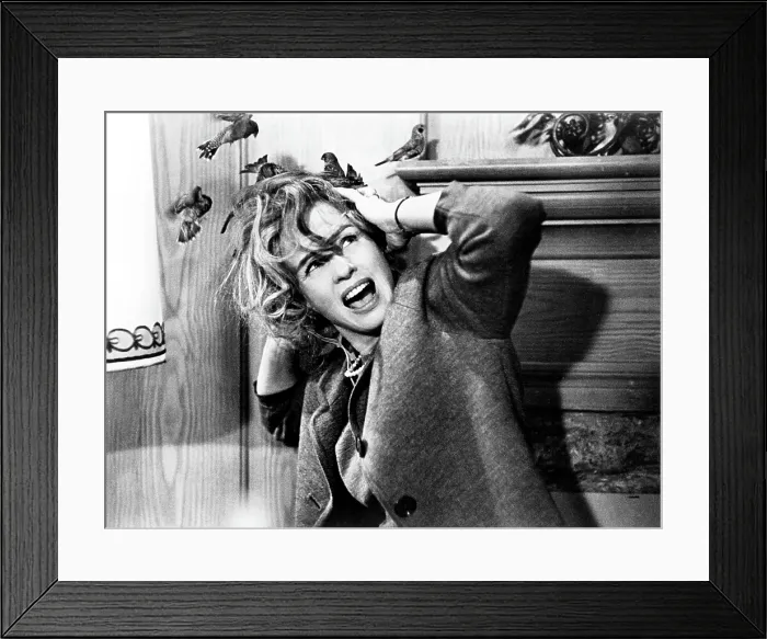 Framed Print : THE BIRDS, Jessica Tandy, 1963 Framed Print : THE BIRDS, Jessica Tandy, 1963
