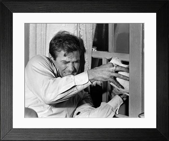 Framed Print : THE BIRDS, Rod Taylor, 1963