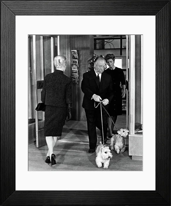 Framed Print : THE BIRDS, Tippi Hedren, Alfred Hitchcock, 1963