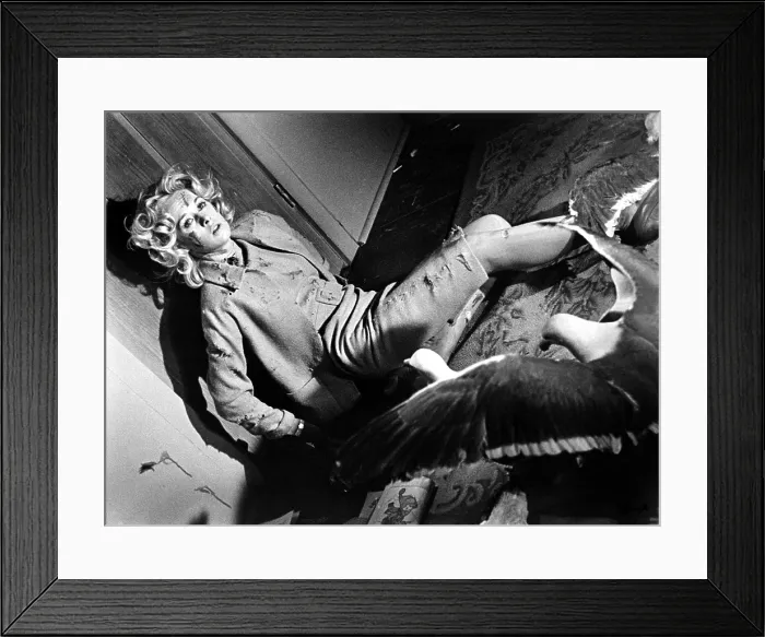 Framed Print : THE BIRDS, Tippi Hedren, 1963