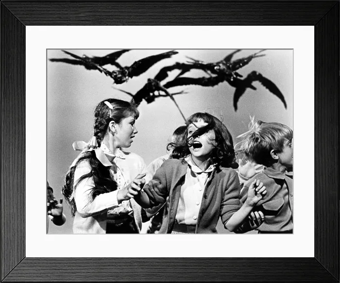 Framed Print : THE BIRDS, Veronica Cartwright, 1963 Framed Print : THE BIRDS, Veronica Cartwright, 1963