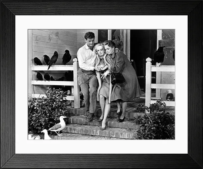 Framed Print : THE BIRDS, Rod Taylor, Tippi Hedren, Jessica Tandy, 1963
