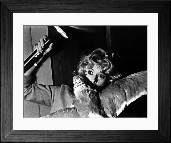 Framed Print : THE BIRDS, Tippi Hedren, 1963