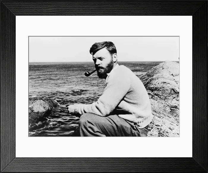 Framed Print : Farley Mowat (b. 1921) Canadian conservationist and author of Woman in the Mists: The Story of Dian Fossey and the Mountain Gorillas of Africa (1987)