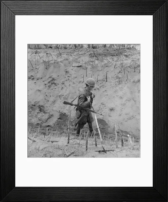 Framed Print : Vietnam War. US Marine walks through a punji-staked gully. Punji stake booby traps were made out of wood or bamboo, and placed in the ground to injure soldiers on patrol. Jan Framed Print : Vietnam War. US Marine walks through a punji-staked gully. Punji stake booby traps were made out of wood or bamboo, and placed in the ground to injure soldiers on patrol. Jan
