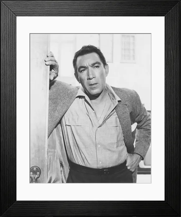 Framed Print : HELLER IN PINK TIGHTS, Anthony Quinn, 1960 Framed Print : HELLER IN PINK TIGHTS, Anthony Quinn, 1960