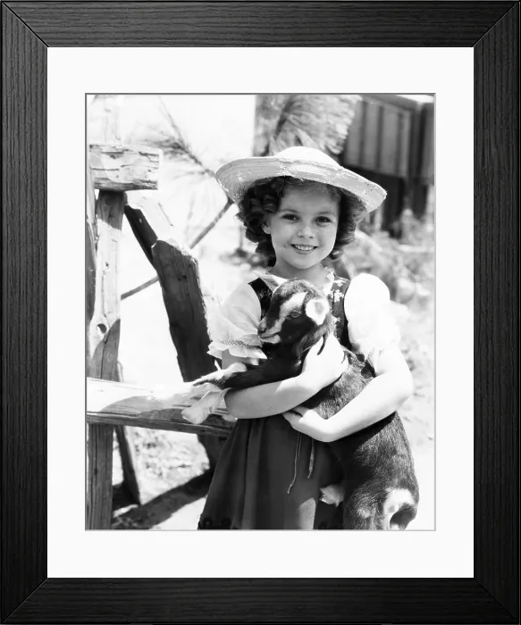 Framed Print : HEIDI, Shirley Temple, 1937, TM and Copyright 20th Century Fox Film Corp. All rights reserved Framed Print : HEIDI, Shirley Temple, 1937, TM and Copyright 20th Century Fox Film Corp. All rights reserved