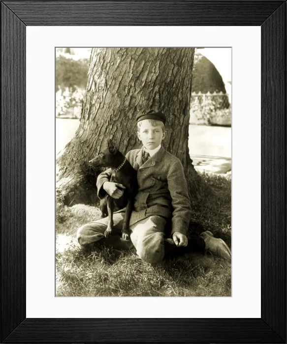 Framed Print : Kermit Roosevelt (1889-1943), second son of Theodore and Edith Roosevelt, at the White House in 1902, with Jack, the Dog