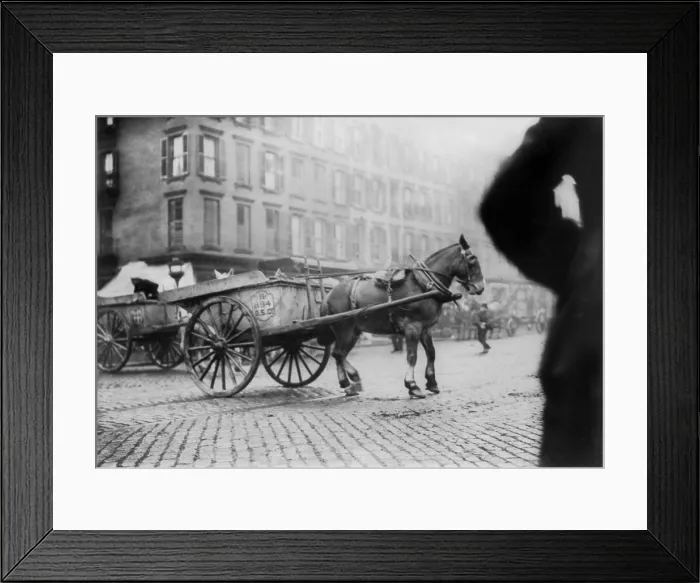 Framed Print : New York City, garbage collector's strike, horse-drawn cart being stoned, driver is hiding inside, photograph, November, 1911