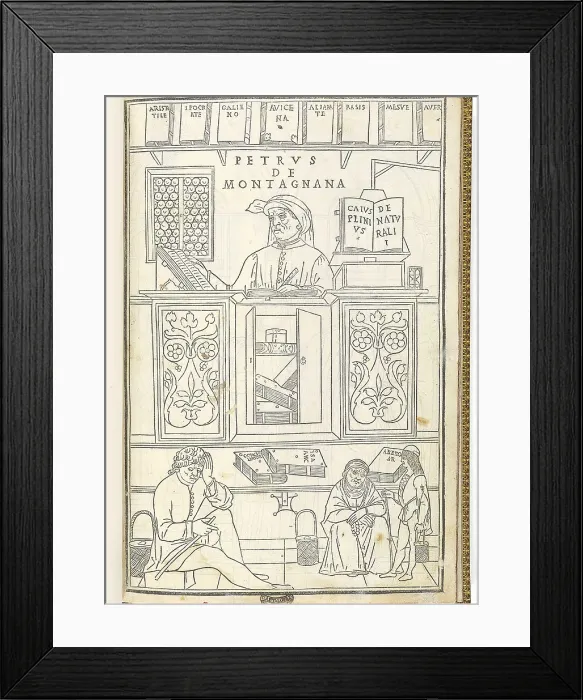 Framed Print : Illustration showing the breadth of medical knowledge in 15th century Italy