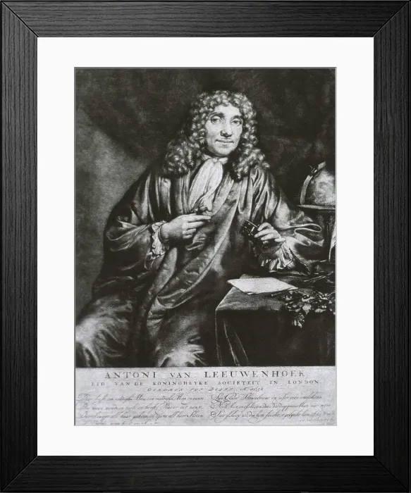 Framed Print : Anthony van Leeuwenhoek (1623-1723), Dutch microscopist developed lenses that magnification onjects 200 times their actual size