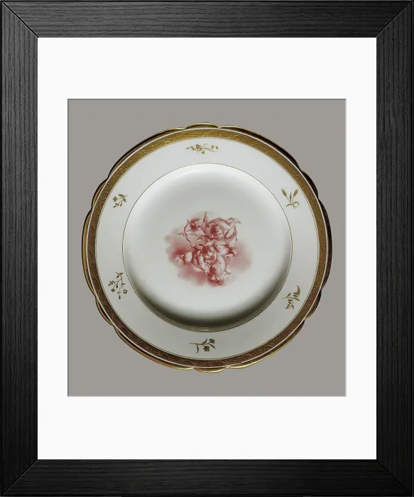 Framed Print : Plate (1798), decorated with Cupids. China  /  Porcelain. FRANCE. Svres. Sevres National Museum for Ceramics. Proc: AUSTRIA. Vienna. AISA / Everett Collection**US SALES ONLY**