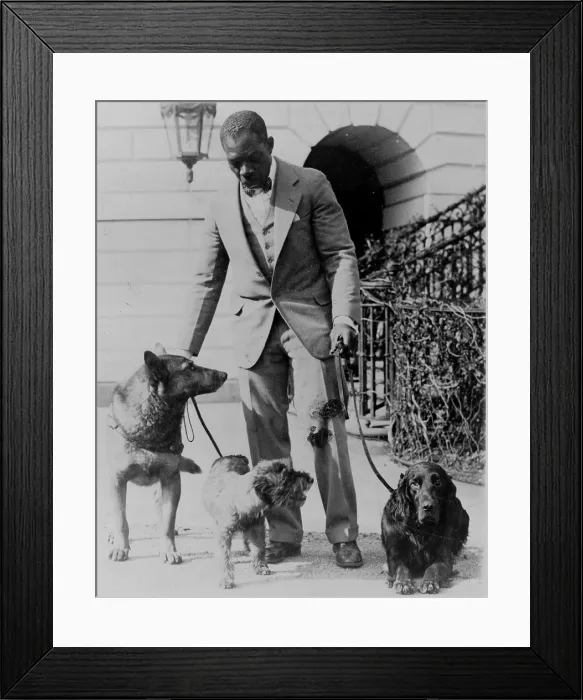 Framed Print : The Hoover family's White House dogs King Tut, Whoopie, and Englehurst Gillette Framed Print : The Hoover family's White House dogs King Tut, Whoopie, and Englehurst Gillette