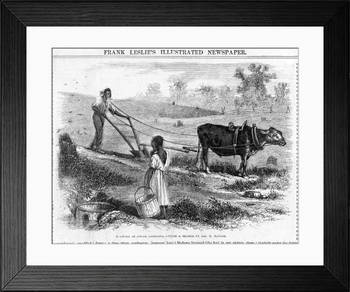 Framed Print : Plowing in South Carolina. African American freedman ploughs a field as a young girl watches. South Carolina, woodcut ca. 1866