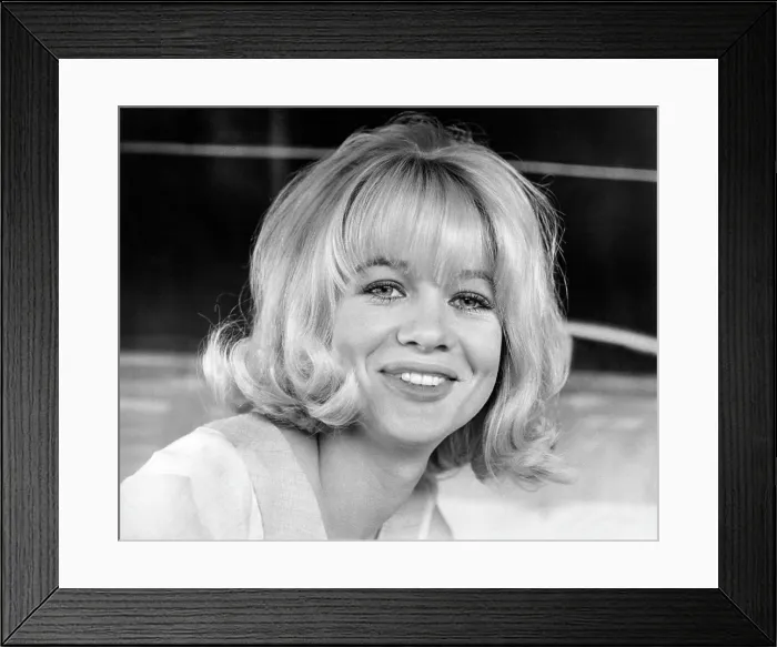 Framed Print : HAMMERHEAD, Judy Geeson, 1968 Framed Print : HAMMERHEAD, Judy Geeson, 1968