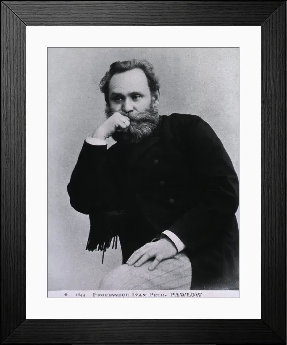 Framed Print : Ivan Pavlov (1849-1936), Russian scientist won the 1904 Nobel Prize in Medicine, for his work on digestion Framed Print : Ivan Pavlov (1849-1936), Russian scientist won the 1904 Nobel Prize in Medicine, for his work on digestion