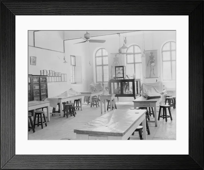 Framed Print : Medical College, Baghdad and road building, medical classroom, Iraq, photograph September 26, - October 12, 1932 Framed Print : Medical College, Baghdad and road building, medical classroom, Iraq, photograph September 26, - October 12, 1932