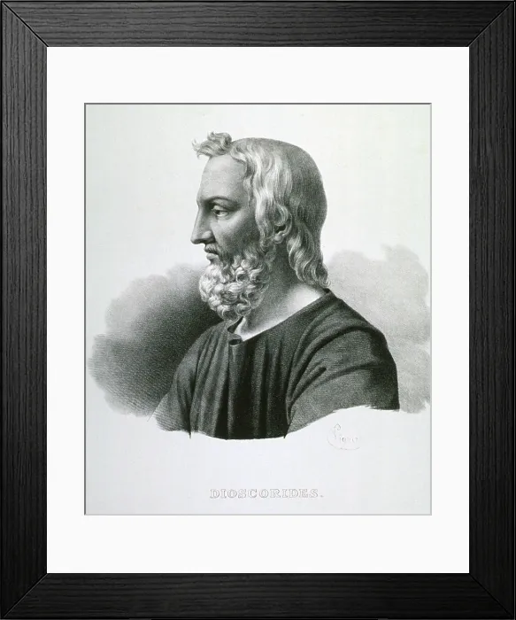 Framed Print : Pedanius Dioscorides (40-90 AD), Greek botanist and pharmacologist, wrote DE MATERIA MEDICA (REGARDING MEDICAL MATTERS)