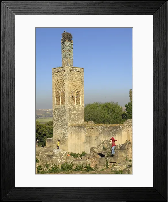 Framed Print : MOROCCO. Rabat. Chellah Necropolis. Minaret in the mosque in ruins. AISA / Everett Collection**US SALES ONLY**