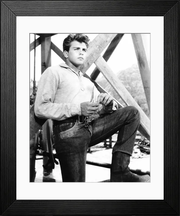 Framed Print : HOUND-DOG MAN, Fabian, 1959, TM & Copyright 20th Century Fox Film Corp. / courtesy Everett Collection