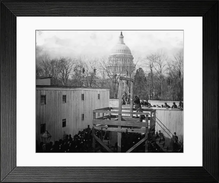 Framed Print : The Civil War, soldier springing the trap, men in trees and Capitol dome beyond, the execution of Confederate Officer Henry Wirz, for the crimes of conspiracy and murder Framed Print : The Civil War, soldier springing the trap, men in trees and Capitol dome beyond, the execution of Confederate Officer Henry Wirz, for the crimes of conspiracy and murder
