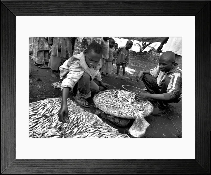 Framed Print : CONGO, Democratic Republic of the. NORTH KIVU. Democratic Republic of the Congo (2008). Kivu Conflict. Refugee camp of Buhimba (17000 people) Framed Print : CONGO, Democratic Republic of the. NORTH KIVU. Democratic Republic of the Congo (2008). Kivu Conflict. Refugee camp of Buhimba (17000 people)