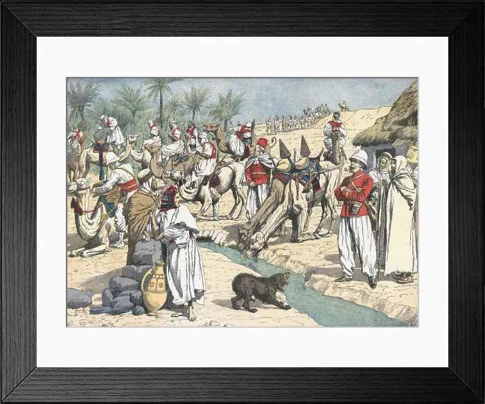 Framed Print : France. French troops in the Sahara. French Mharistes soldiers (camel cavalry) in an oasis. 'Le Petit Journal'. August 51906.. Engraving