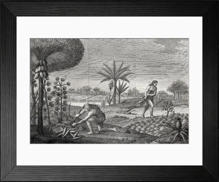 Framed Print : America (18th c.). Growings of the Indians of the basins of Orinoco and Amazon rivers. Italian engraving of 1780. Etching. AISA / Everett Collection (18330)**US SALES ONLY** Framed Print : America (18th c.). Growings of the Indians of the basins of Orinoco and Amazon rivers. Italian engraving of 1780. Etching. AISA / Everett Collection (18330)**US SALES ONLY**