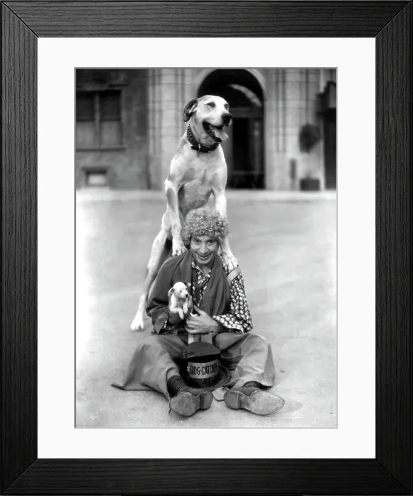Framed Print : HORSE FEATHERS, Harpo Marx, 1932