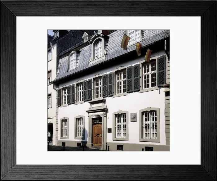 Framed Print : MARX, Karl (1818-1883). Facade from the house where Karl Marx was born. Architecture. GERMANY. Trier. Karl Marx House. AISA / Everett Collection**US SALES ONLY**