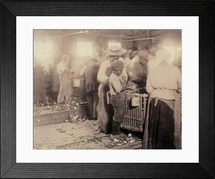 Framed Print : Child labor, an African American boy shucking oyesters, original caption: One of the smallest negro oyster shuckers that I found on the Atlantic Coast