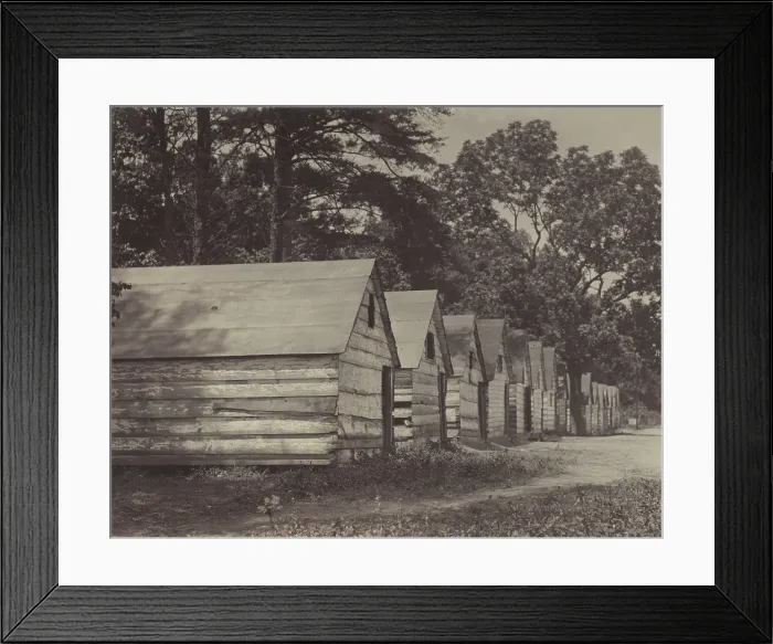 Framed Print : African American shacks, original caption: The negro berry pickers shacks on the farm of Col. J. J. Ross